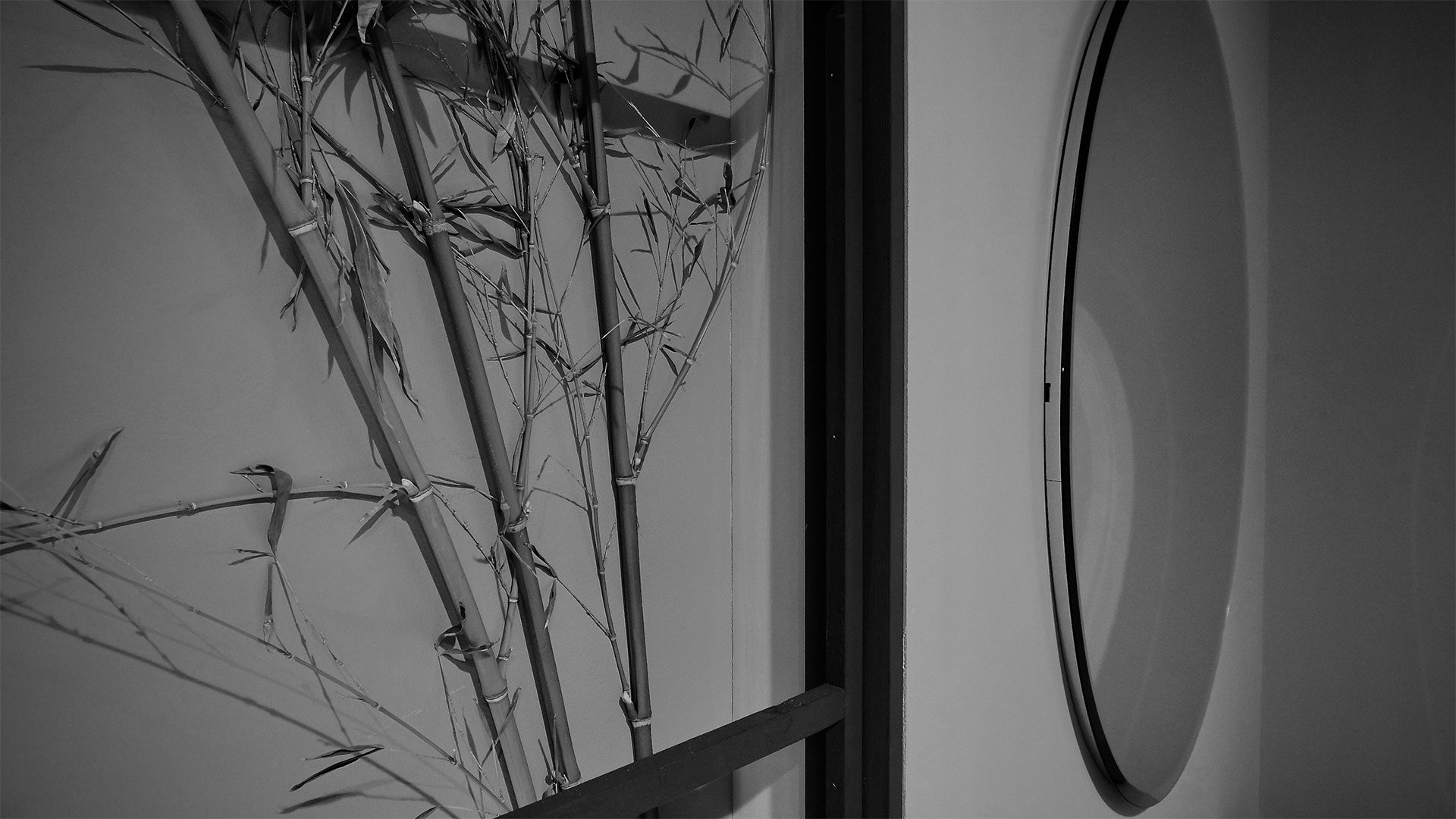 centro-mobili-procopio-showroom00049